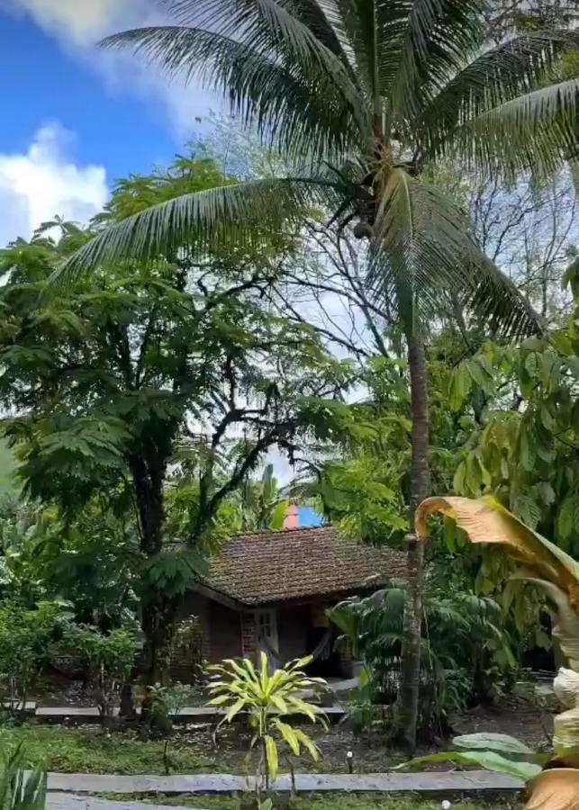Pousada Coco Dende Boipeba Velha Boipeba Eksteriør bilde